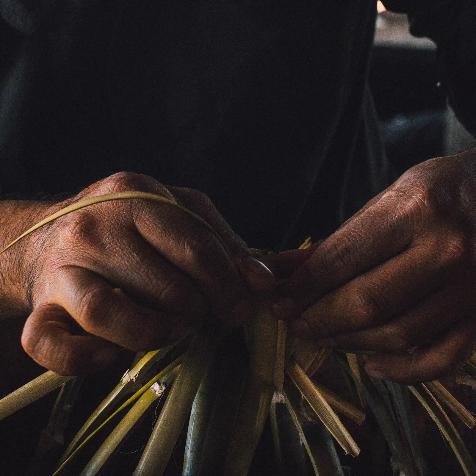 Manos artesanas trabajando fibras de maguey