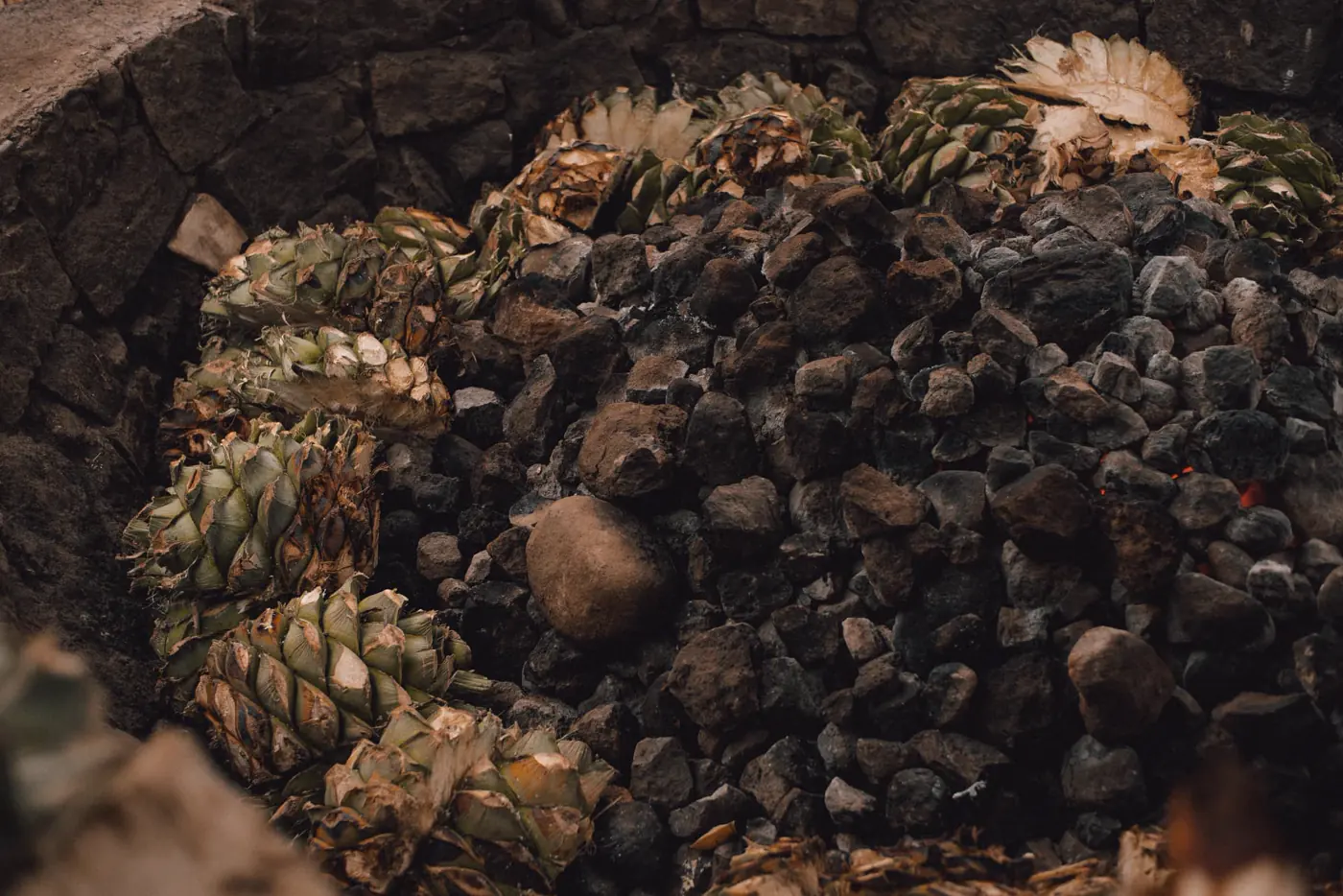 Horno cónico de tierra con maguey en cocción