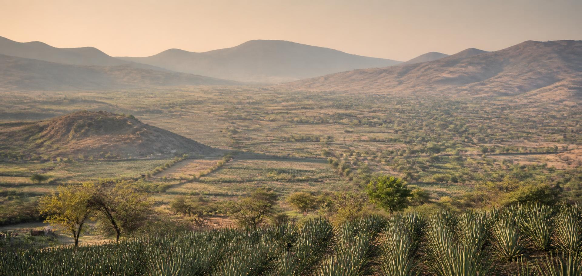 Paisaje de Santiago Matatlán, Oaxaca